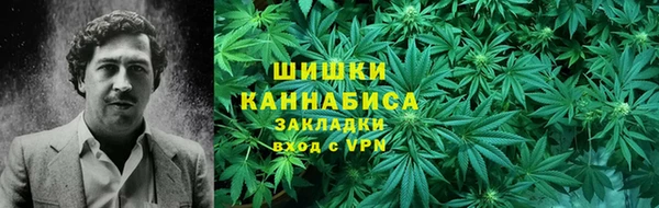 прущие грибы Козловка