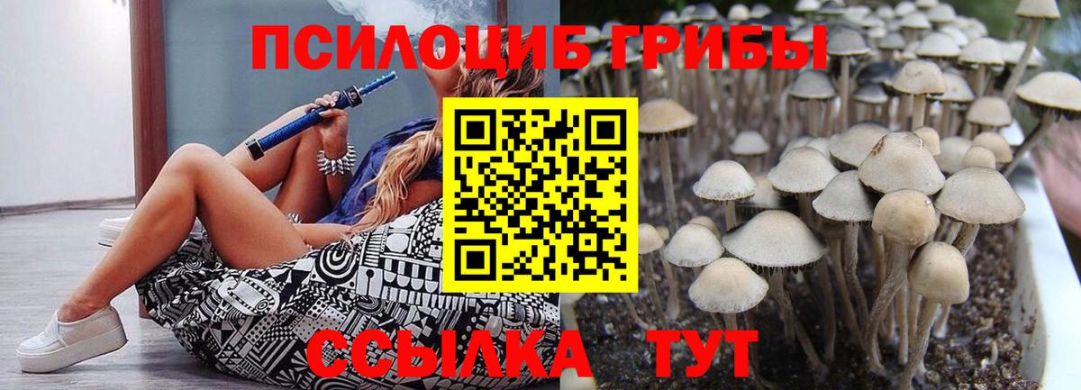 Галлюциногенные грибы Psilocybine cubensis Кстово
